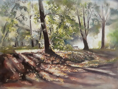 Autumn Morning