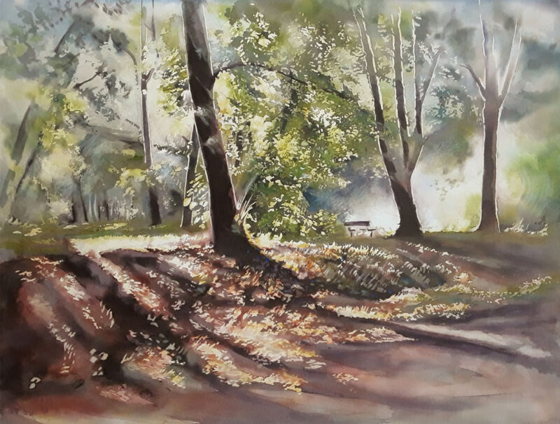 Autumn Morning