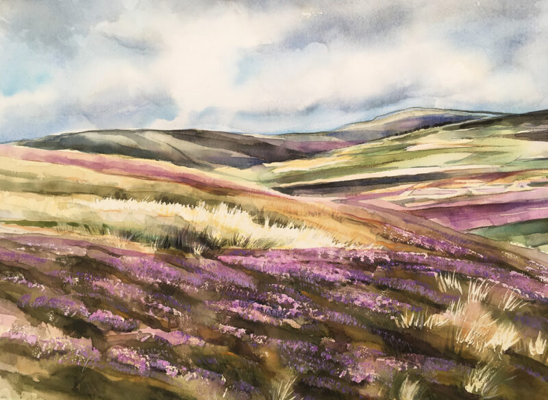 Heather at Yarnbury