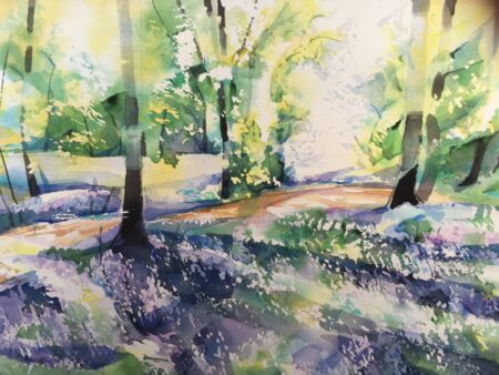 Spring Light Middleton Woods