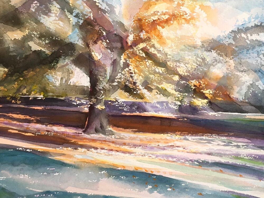 Autumn Copper Beach