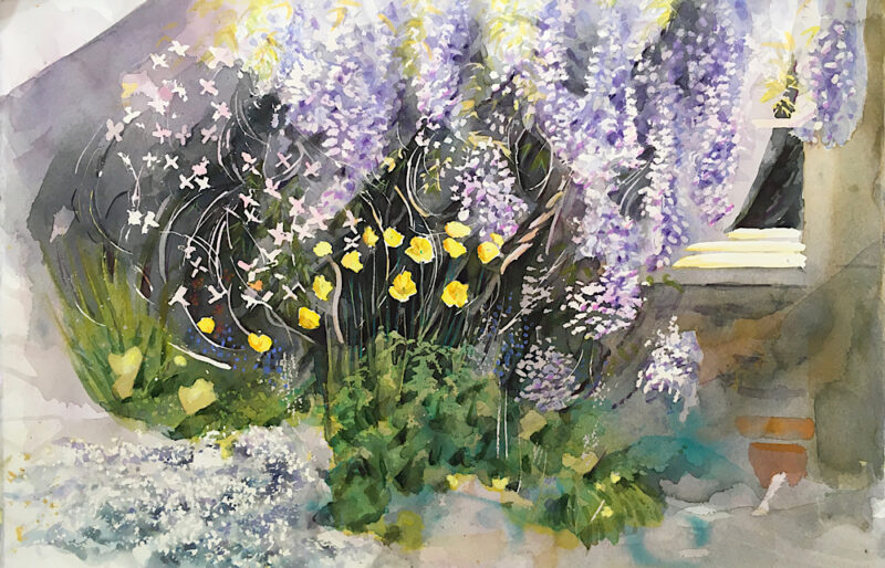 Wisteria & Poppies