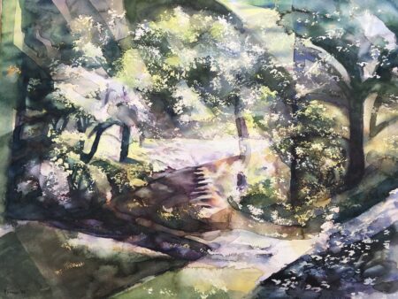 Woodland & Steps