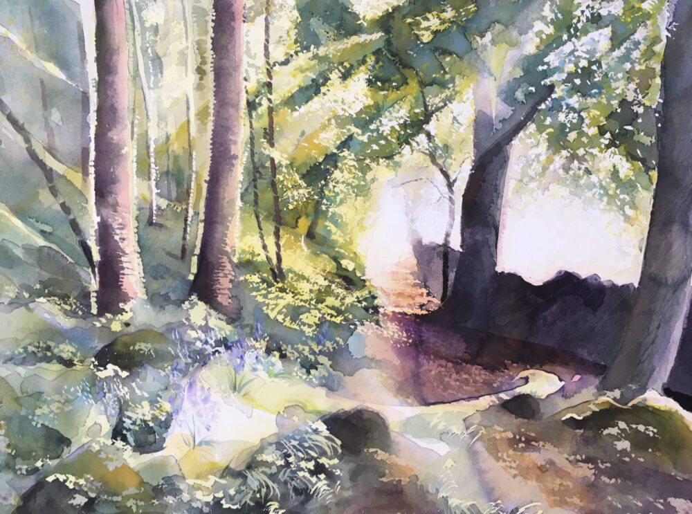 Woodland Track