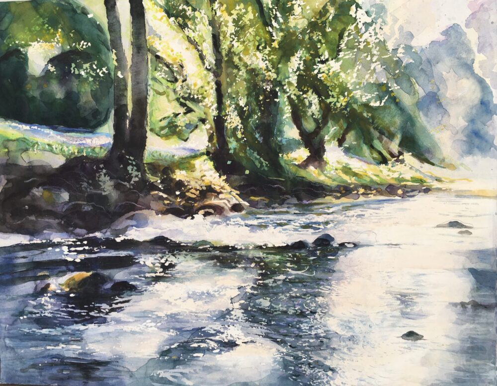River Wharfe Rapids