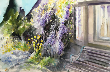 Wisteria & Bench