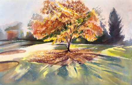 Autumn Tree