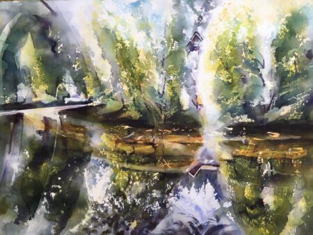 Shallows & Reflections