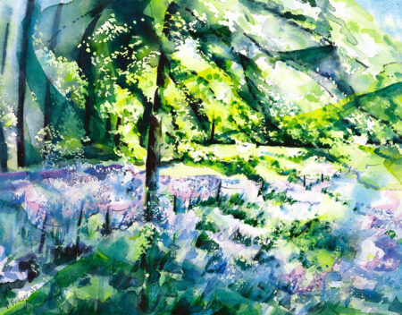 Bluebell Lights