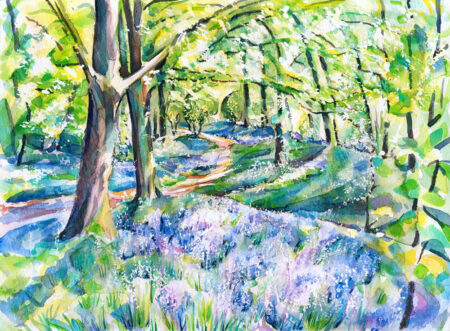 Bluebell Spring