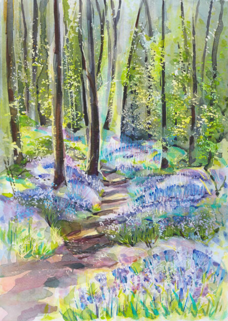 Bluebell Track