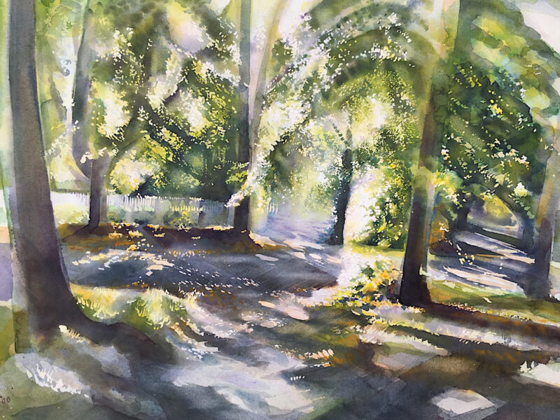 Glades in the Park