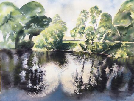 Eddy on the Wharfe