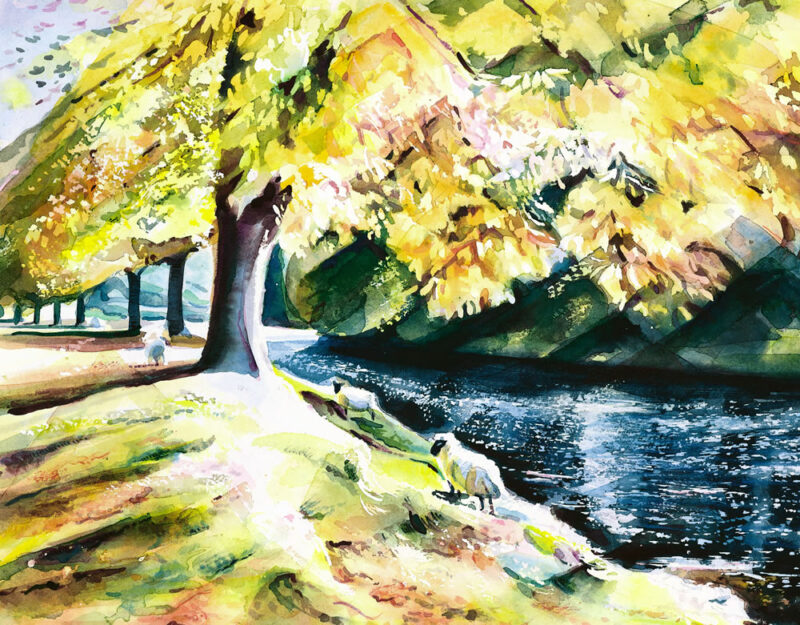 Chestnuts, Sheep & Wharfe