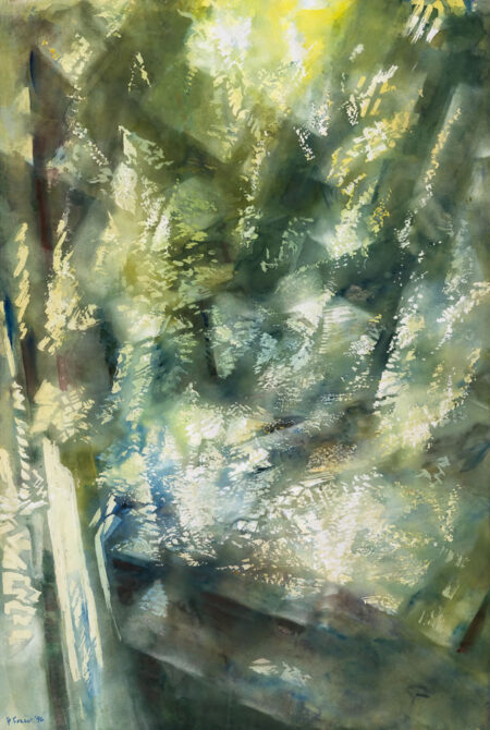 Down to the Brook