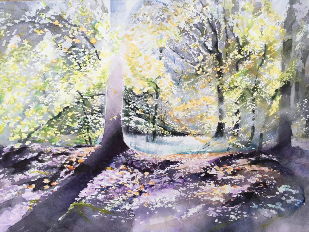 Sunny Autumn Glade