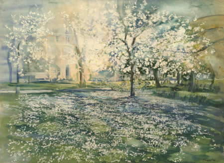 Fallen Blossoms
