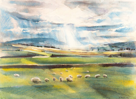 Grassington Meadows