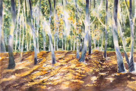 Grasswoods