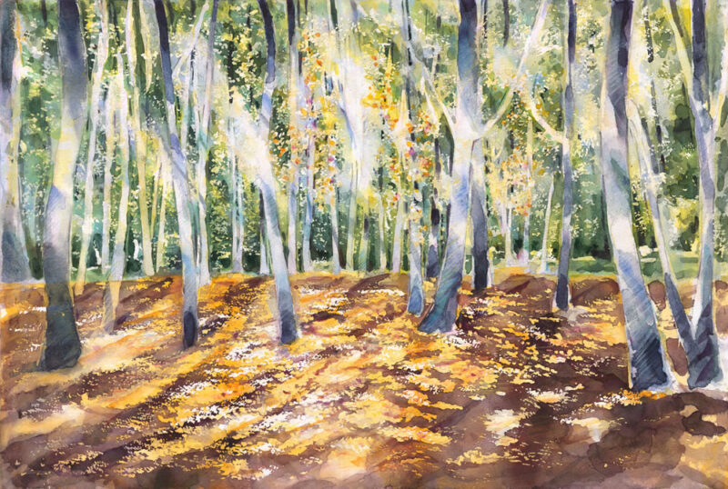 Grasswoods