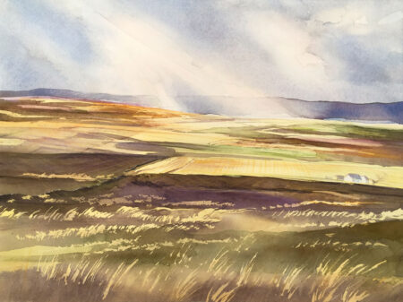 Greenhow Moors