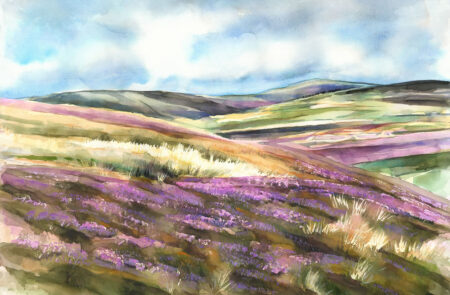 Heather On Yarnbury Moors