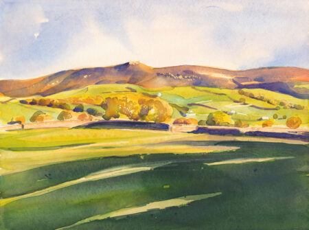 Hebden Meadows