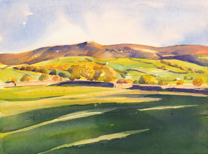 Hebden Meadows