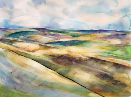 Moorland Patterns