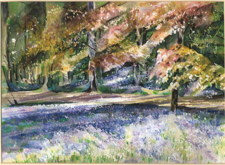 New Beech & Bluebells
