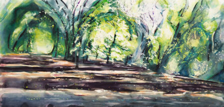 Paths & Glades