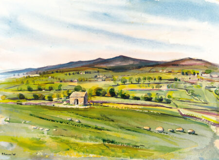 Rylstone Meadows