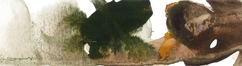 Shadow Abstract