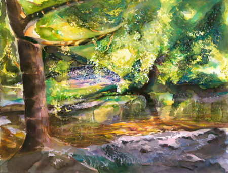 Shady Shallows