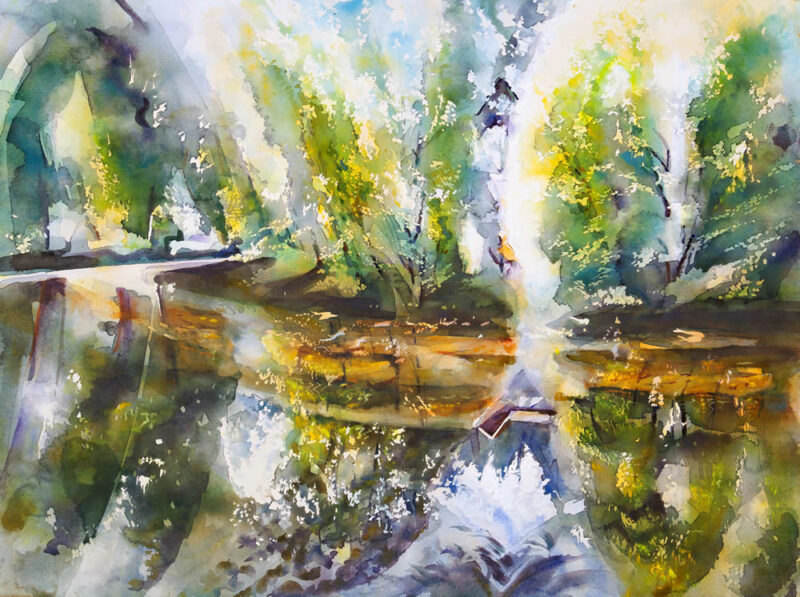 Shallows & Reflections