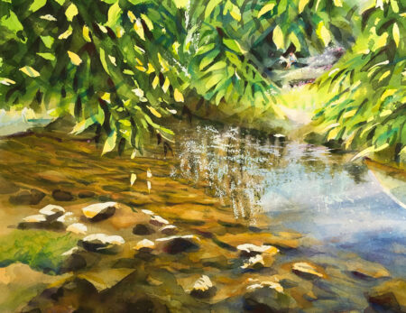 Shallows & Overhanging Ash