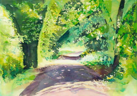 Summer Walk
