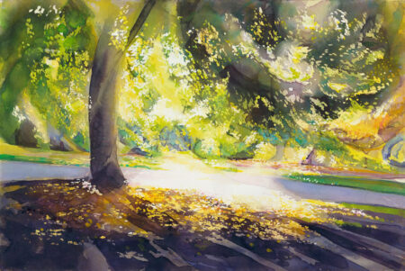 Sunlight In Park
