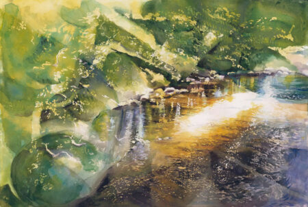 Sunlit Shadows
