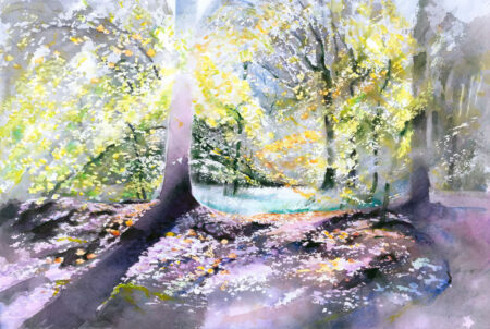 Sunny Autumn Glade