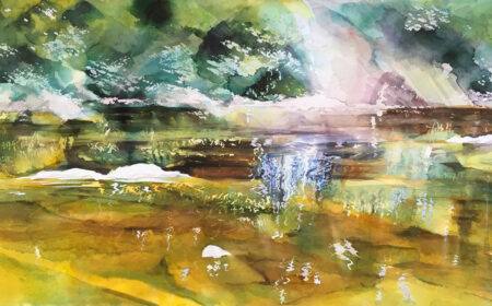 Sunny Shallows