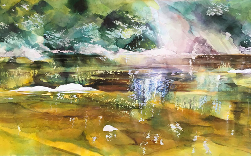 Sunny Shallows