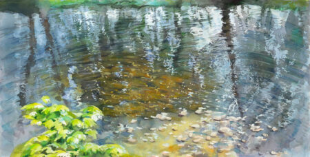 Surface & Shallows