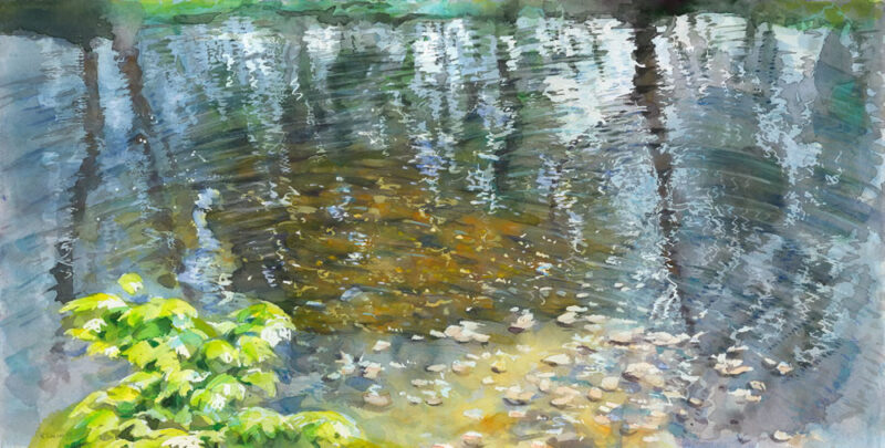 Surface & Shallows