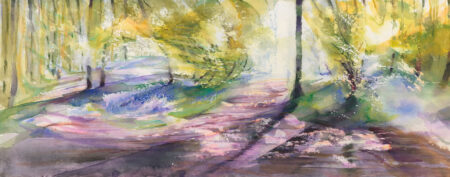Various Bluebell Paths
