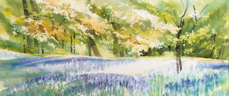 Wide Bluebells