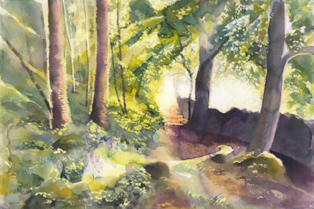 Woodland Track