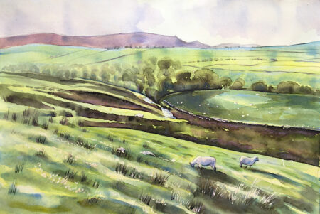 River Dibb & Meadows