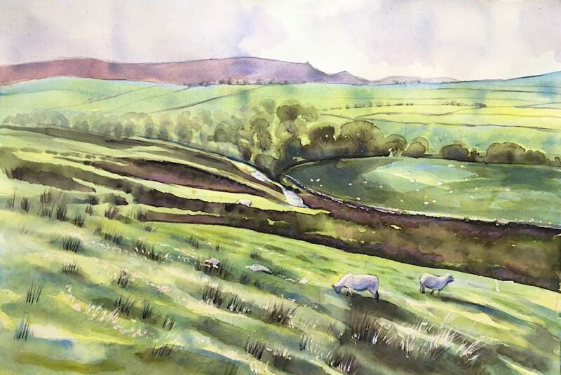 River Dibb & Meadows