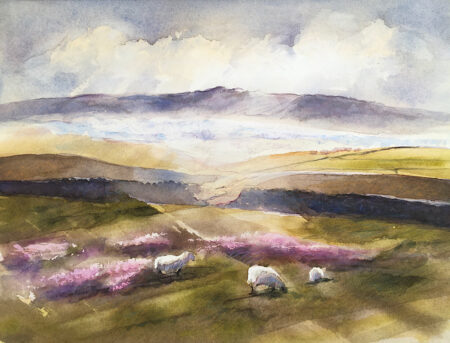 Moorland Sheep and Mists